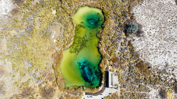 50+ Fotos, Bilder und lizenzfreie Bilder zu Cuatro Cienegas