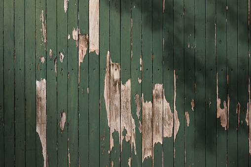 Old wooden fence detail with peeling paint.