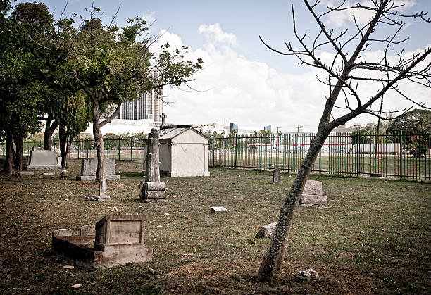istock Cemetery in Miami, Florida 149718877