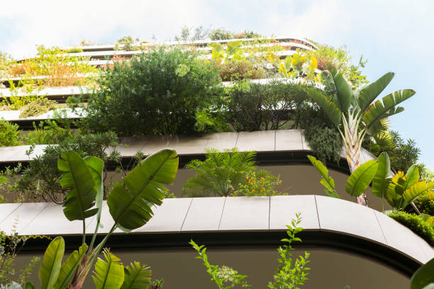 istock Urban garden in Monte Carlo, Monaco 1497189568