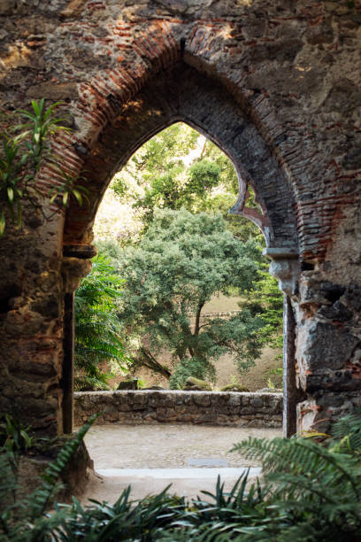 istock Forest in Sintra, Montserrat 1497190714