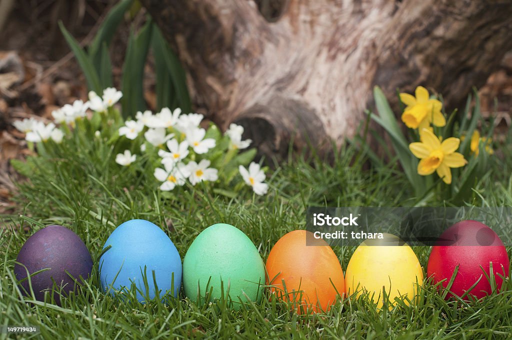 Huevos de Pascua - Foto de stock de Aire libre libre de derechos