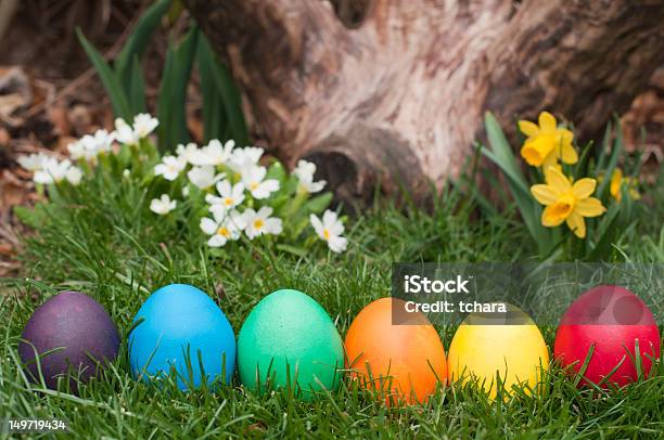 Foto de Ovos De Páscoa e mais fotos de stock de Cabeça da flor - Cabeça da flor, Campo, Culturas