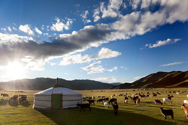 Livestock in a pasture around haystack on partly cloudy day The sun rises in the Orkhon Valley while lambs graze freely independent mongolia photos stock pictures, royalty-free photos & images