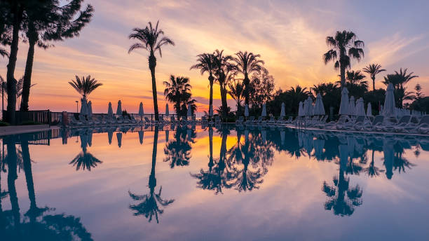 istock Silhouette of palm trees 1497196349