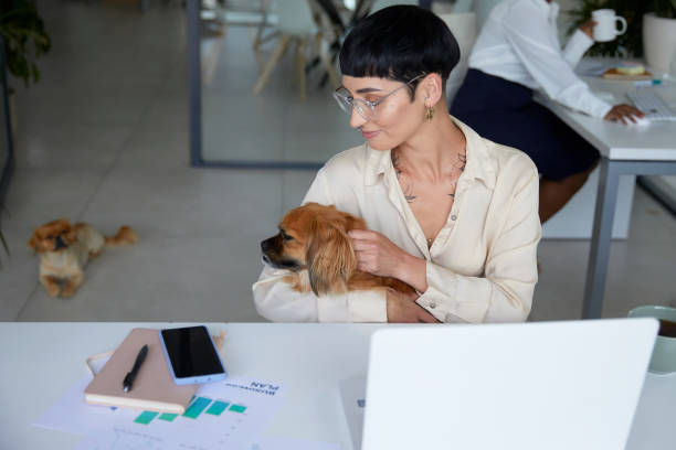 istock My dog comes with me everywhere 1497201663