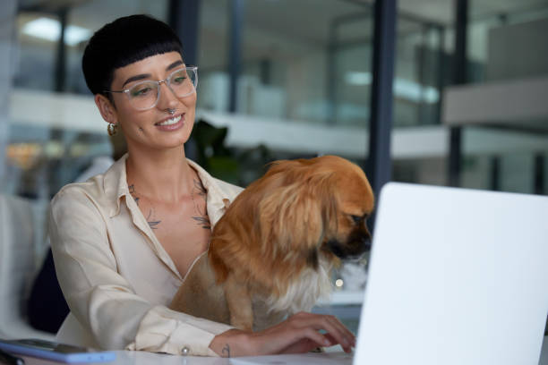 istock My dog comes with me everywhere 1497201664