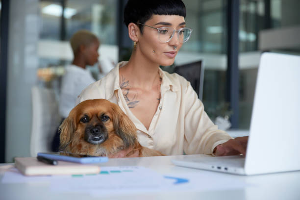 istock My dog comes with me everywhere 1497201726