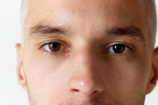 istock Cropped close-up image of man's face with brown eyes looking at camera against white studio background 1497203796
