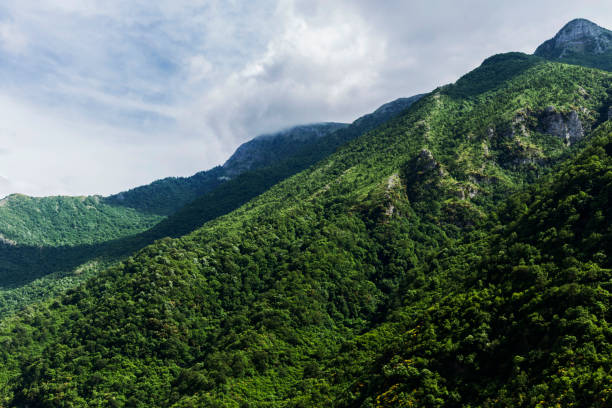 istock Mountains with yellow flowers in Albania 1497204064
