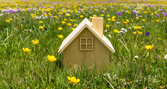 Symbolic wooden house among flowers on a summer meadow
