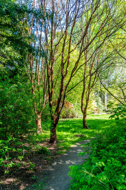 istock College Garden Landscape 4 1497206930