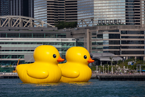 Hong Kong - June 9, 2023 : Two giant inflatable Rubber Ducks float on Victoria Harbour in Hong Kong.