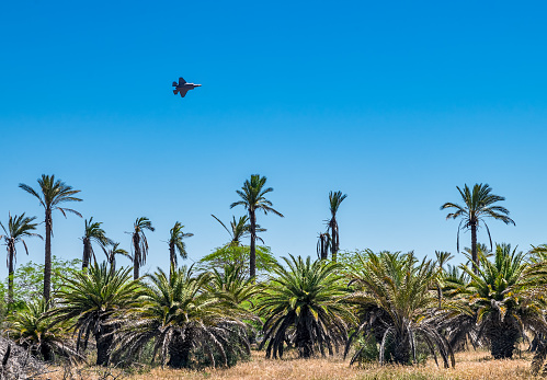 Avión F 35 Adir volando sobre palmeras en Israel. photo