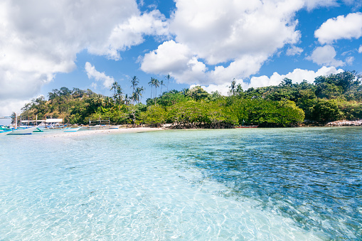 Snake Island, located in the Philippines, under the bright sunshine. The image showcases the island's distinctive formation. The foreground features the shallow and translucent turquoise sea, creating a sense of serenity. In the distance, Snake Island reveals its notable hills adorned with lush tropical plants and palm tree groves. The island is complemented by a white beach, while traditional Filipino boats are positioned nearby. The sky above is vibrant blue hue, adorned with scattered fluffy clouds.