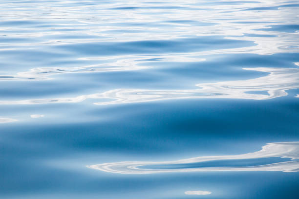 Free Stock Photo of Calm blue ocean water surface with gentle ripples ...