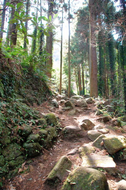 istock Mt. Nokogiri, Kyonan Town, Chiba Prefecture 1497215629