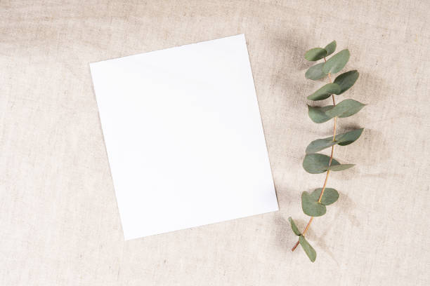 istock Natural linen canvas, eucalyptus branch and clean postcard. Blank greeting card. 1497215906