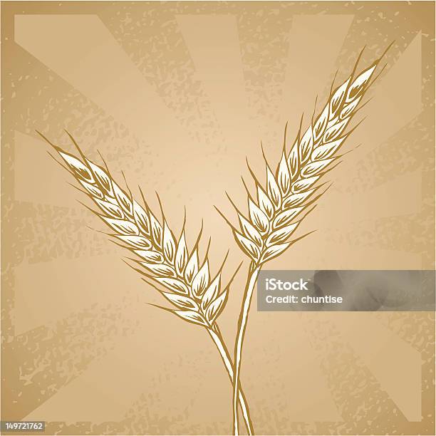 Xilogravura De Trigo - Arte vetorial de stock e mais imagens de Espiga de trigo - Espiga de trigo, Castanho, Cereal