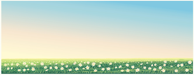 Rural landscape with flowering meadow with a carpet of large flowers in the foreground. Vector illustration.