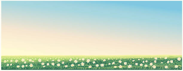 Rural landscape with flowering meadow with large flowers in the foreground vector art illustration