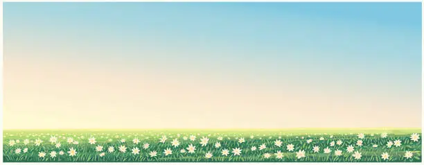 Vector illustration of Rural landscape with flowering meadow with large flowers in the foreground