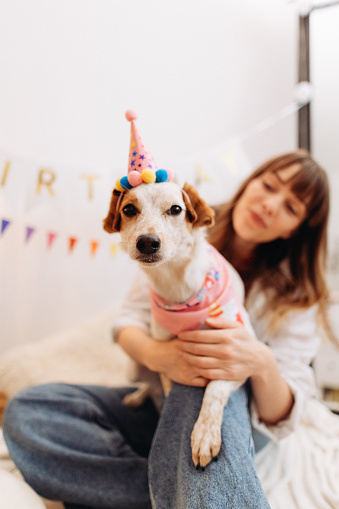 This adorable portrait captures a cute birthday dog wearing a cone on its head. The photograph showcases the dog's irresistible charm and captures the essence of celebration and joy.