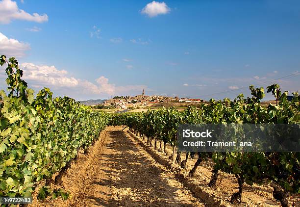 Vigneto La Rioja Spagna - Fotografie stock e altre immagini di Agricoltura - Agricoltura, Ambientazione esterna, Autunno