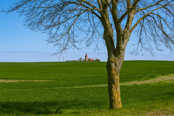 Lighthouse Buk In Bastorf In Mecklenburg-Vorpommern On A Sunny Day