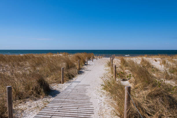 istock Way Through The Dunes To The Beach 1497226866