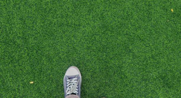 istock Navy sneakers on the grass 1497227428