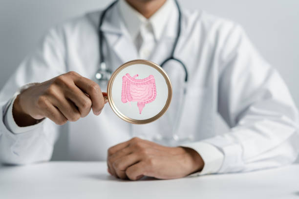 Doctor holding Magnifier focus to stomach with intestine virtual icon, probiotics food for gut health, intestine cancer, bowel inflammatory. Healthy care concept. Doctor holding Magnifier focus to stomach with intestine virtual icon, probiotics food for gut health, intestine cancer, bowel inflammatory. Healthy care concept. rectum stock pictures, royalty-free photos & images