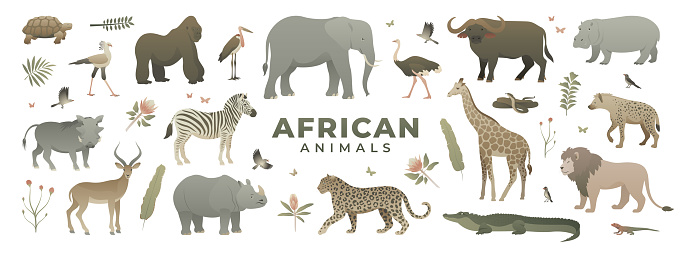 African savannah animals set. Modern vector illustration of safari wildlife. Elephant, giraffe, zebra, leopard, lion, gorilla, rhino, warthog, monkey, hyena, ostrich, hippo, cobra, impala, turtle, crocodile, buffalo, lizard, oxpecker, secretary bird, marabou stork.