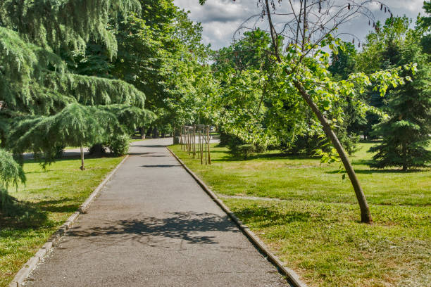 istock Alley in city park 1497234110