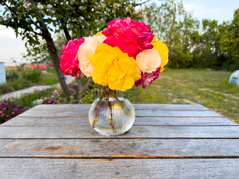 Variation or group of garden roses flowers in small vases or bottles