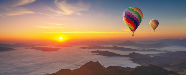 Colorful hot air balloons over green rice field.