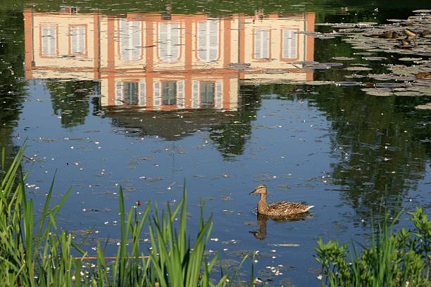 Location: Darmstadt, Hesse, Germany