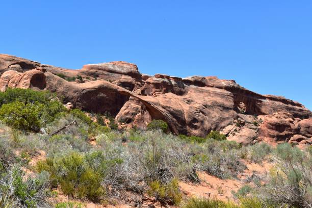 istock Arches National Park Utah Red Rocks Blue Sky with Puffy Clouds Devils Garden 1497245126
