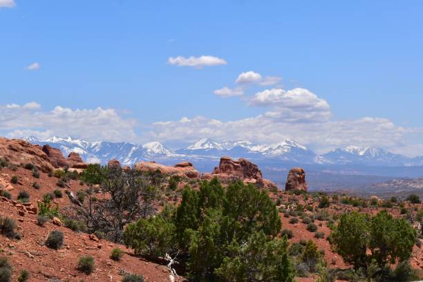 istock Arches National Park Utah Red Rocks Blue Sky with Puffy Clouds Devils Garden 1497245651