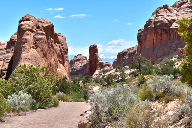 istock Arches National Park Utah Red Rocks Blue Sky with Puffy Clouds Devils Garden 1497245661