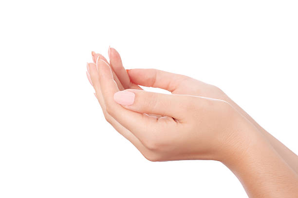 istock Beautiful woman hands 149725086