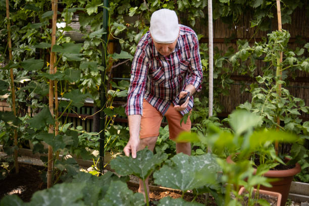 istock Just look at my wonderful veggies 1497251156