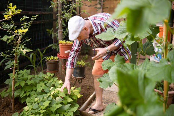 istock I couldn't be happier with my garden, to be honest! 1497251191