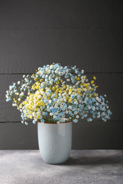 istock Beautiful dyed gypsophila flowers in vase on light grey table 1497251797