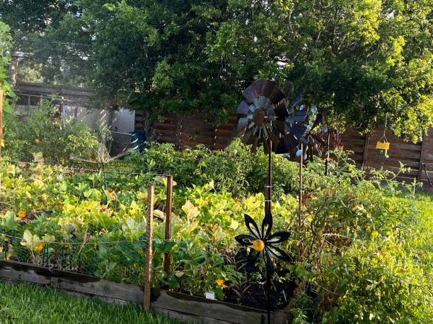 istock Home organic summer Garden 1497253680