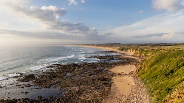 istock a beach with a long pathway going down to the ocean 1497253794