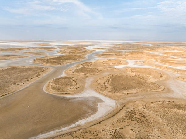 istock Natural shapes and textures on lake 1497254083