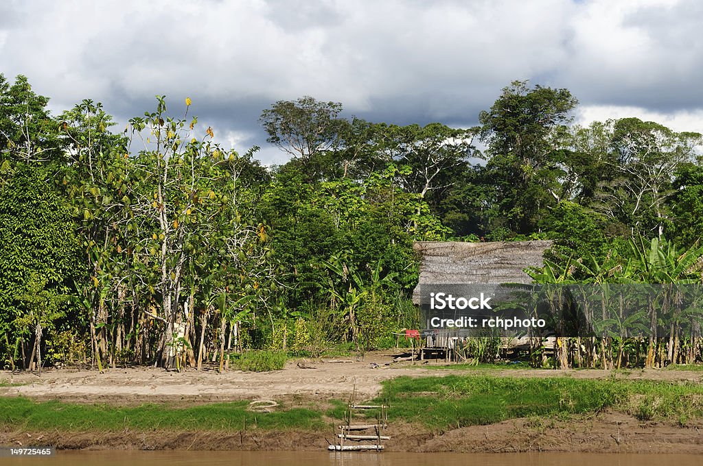 Peruwiańskie Amazonas, Indian rozliczenia - Zbiór zdjęć royalty-free (Amazoński las deszczowy)