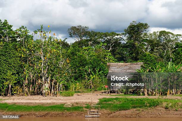Amazonas Peruana Indiana De - Fotografias de stock e mais imagens de Aldeia - Aldeia, Ao Ar Livre, Bairro de Lata