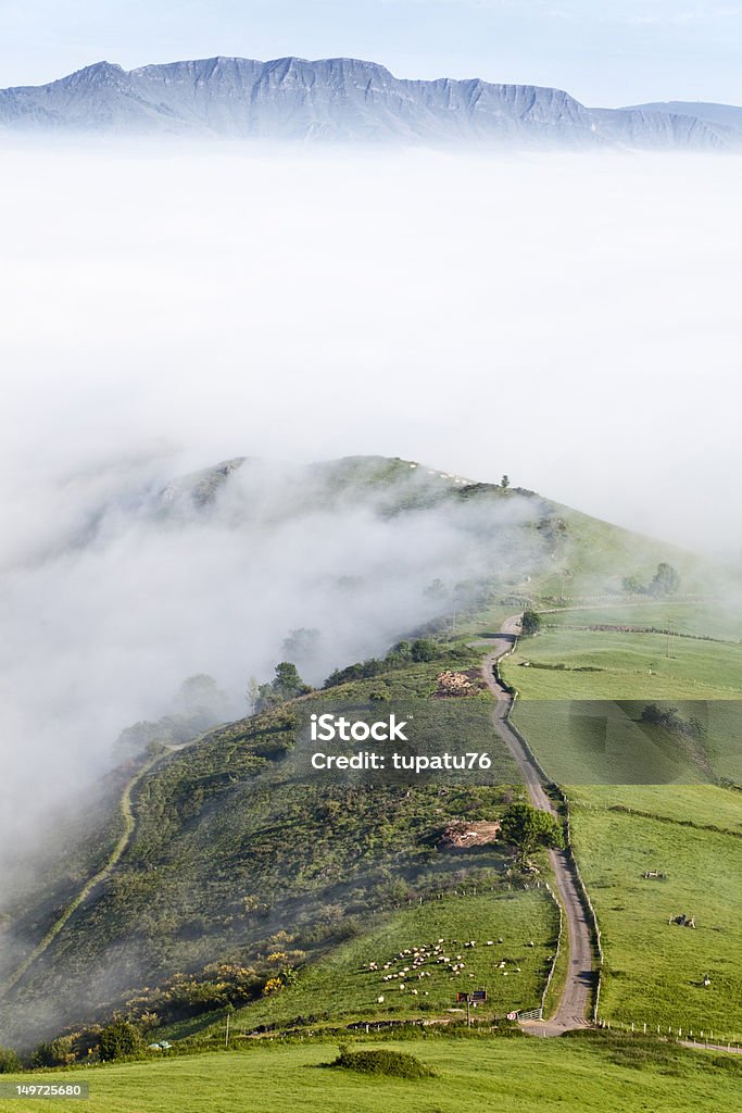 Foggy mountain landscape Foggy mountain landscape at the pyrenees France Stock Photo
